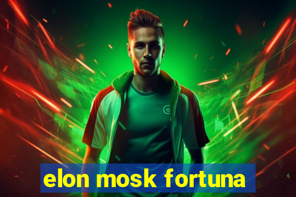 elon mosk fortuna