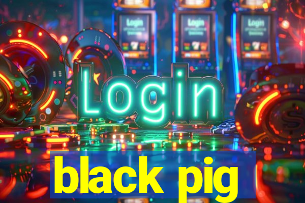 black pig