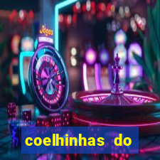 coelhinhas do brasil recife