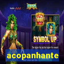 acopanhante