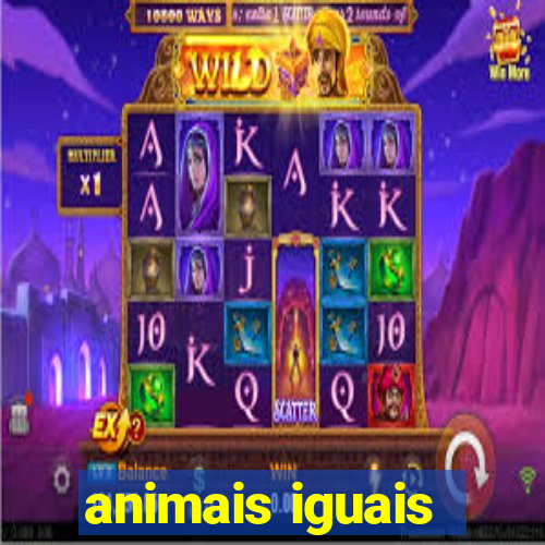 animais iguais