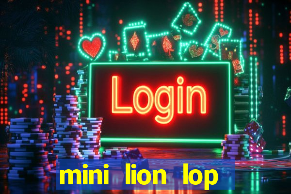 mini lion lop rabbit Informational