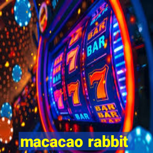 macacao rabbit