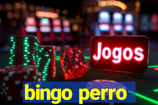 bingo perro