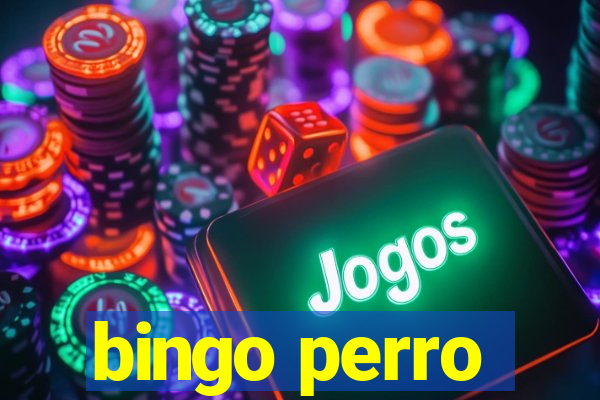 bingo perro