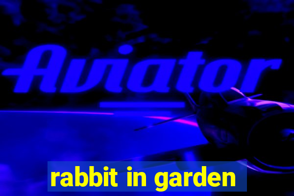 rabbit in garden