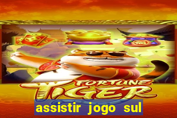 assistir jogo sul americana ao vivo