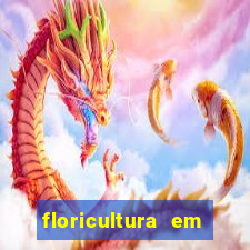 floricultura em lauro de freitas