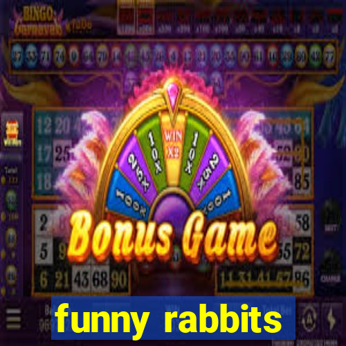 funny rabbits