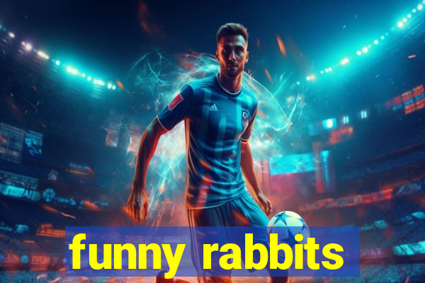 funny rabbits