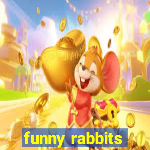 funny rabbits