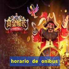 horario de onibus passaro marrom