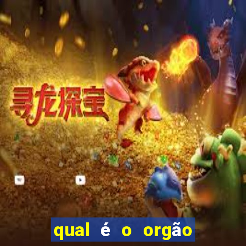 qual é o orgão emissor da cnh