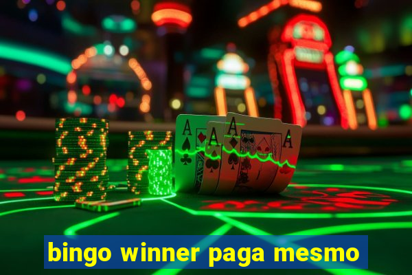 bingo winner paga mesmo