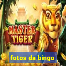 fotos da bingo