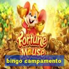 bingo campamento