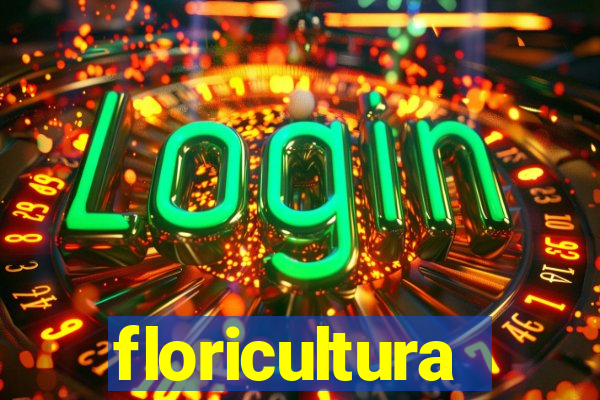 floricultura cruzeiro novo