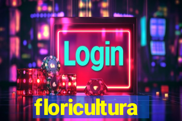 floricultura cruzeiro novo