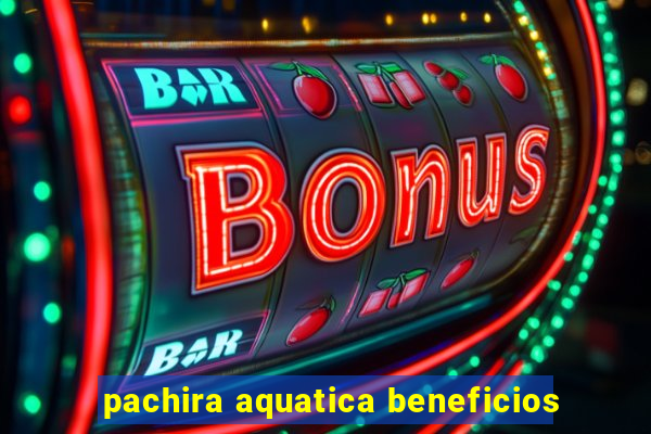 pachira aquatica beneficios