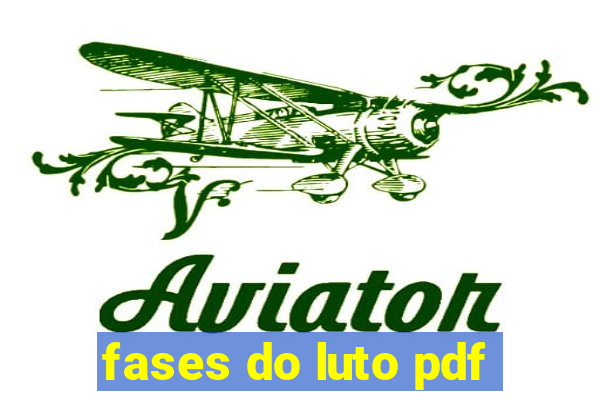 fases do luto pdf