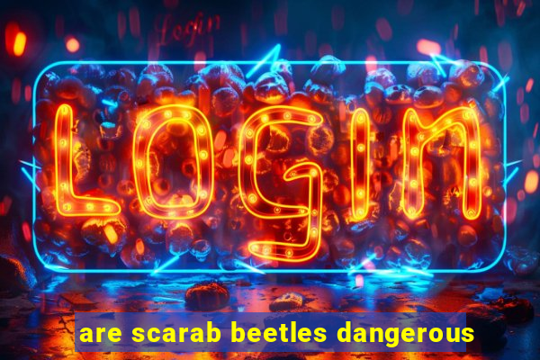 are scarab beetles dangerous