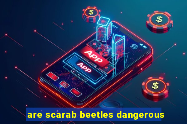 are scarab beetles dangerous