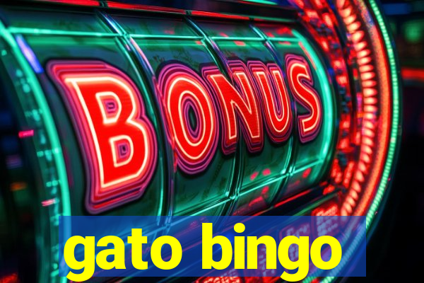 gato bingo