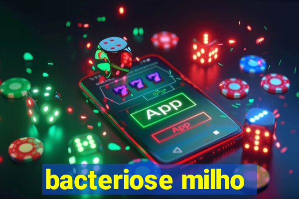 bacteriose milho