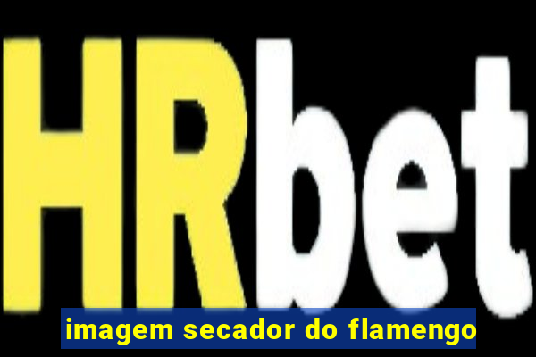 imagem secador do flamengo