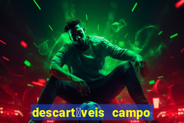 descart谩veis campo grande rj