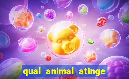 qual animal atinge 230 decibeis