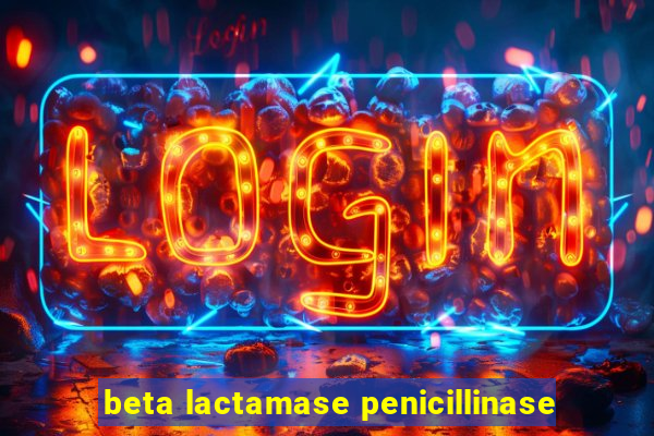 beta lactamase penicillinase