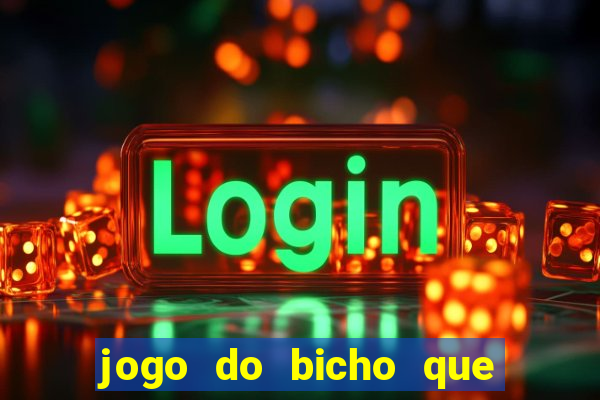 jogo do bicho que paga no pix