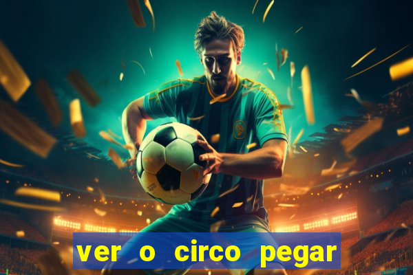 ver o circo pegar fogo significado