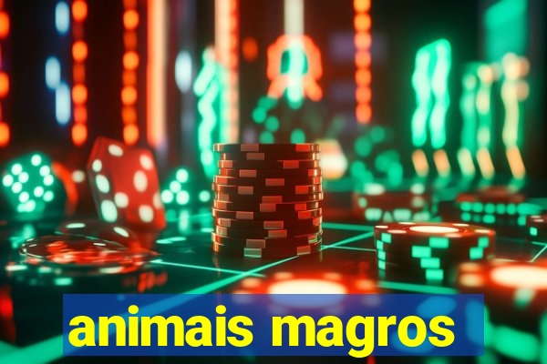 animais magros