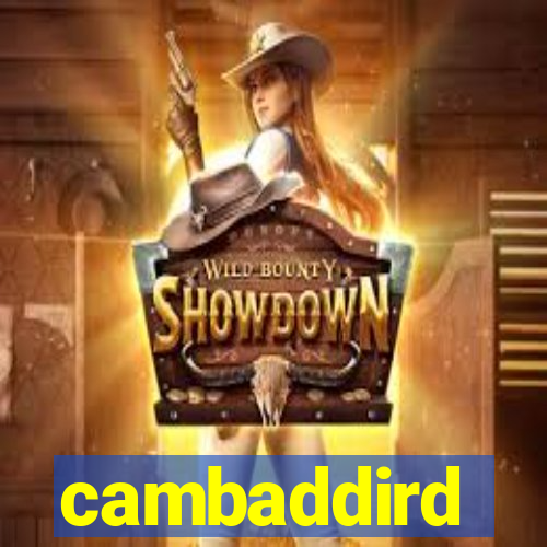 cambaddird