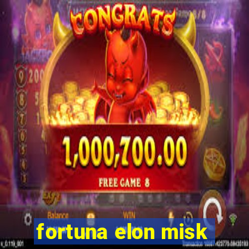 fortuna elon misk