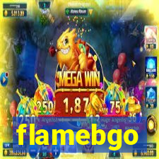 flamebgo