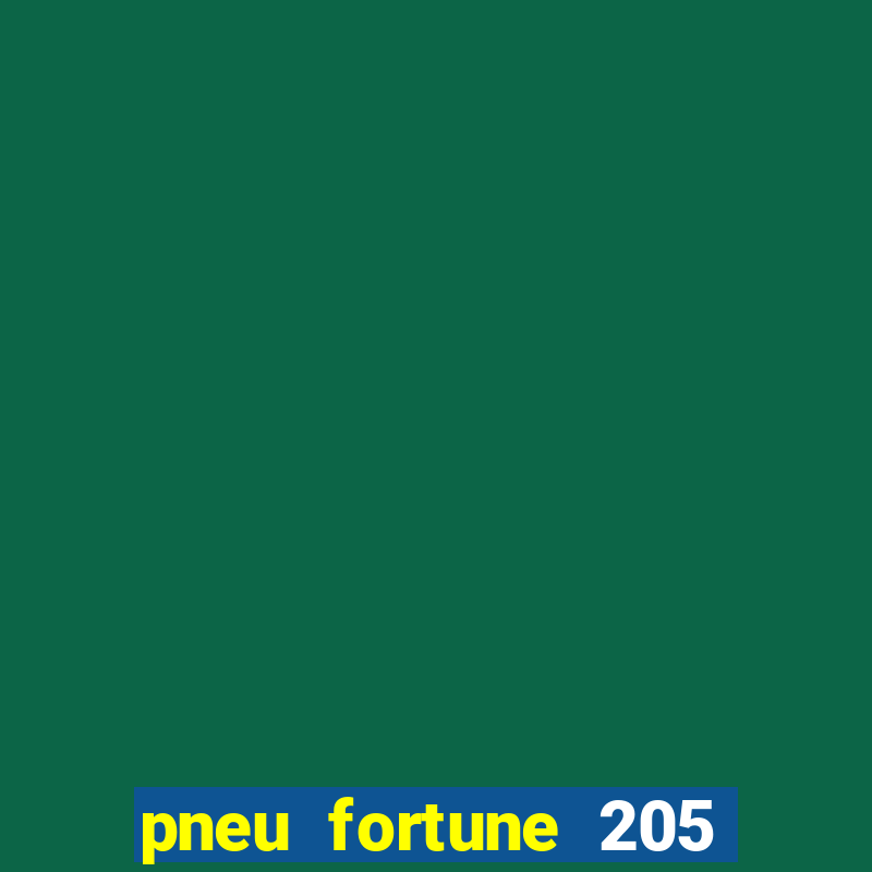 pneu fortune 205 55 r17