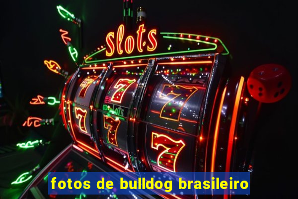 fotos de bulldog brasileiro