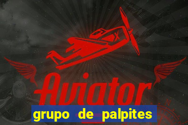 grupo de palpites de futebol