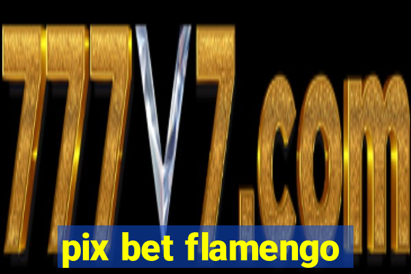 pix bet flamengo