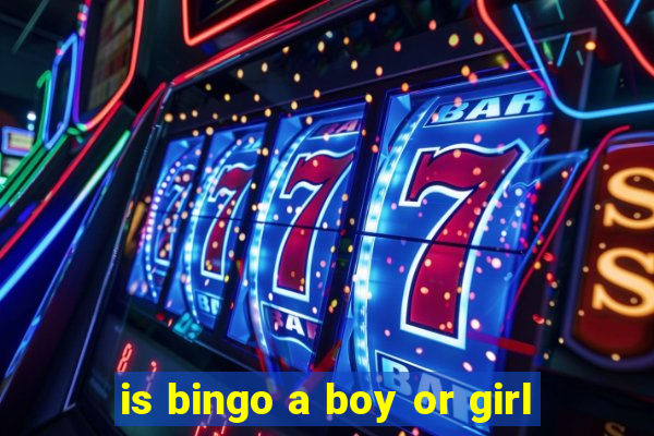 is bingo a boy or girl