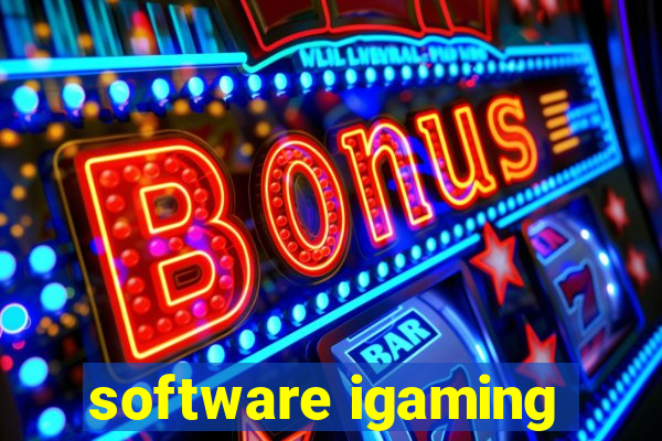 software igaming