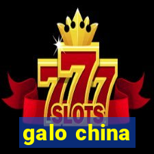 galo china