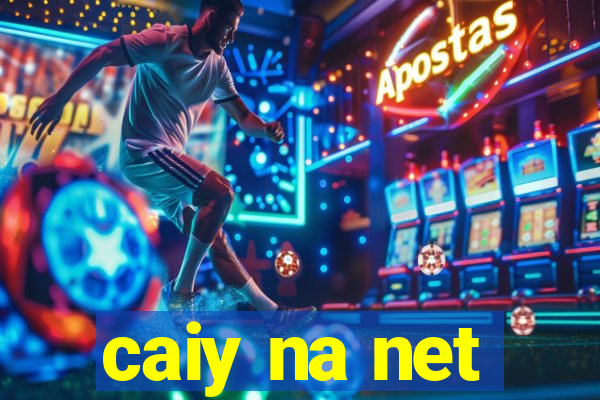 caiy na net