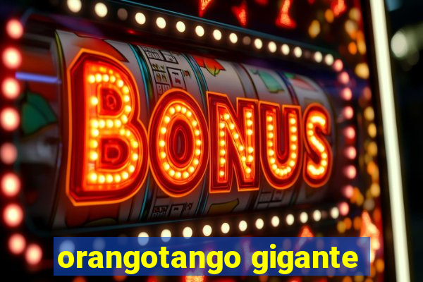 orangotango gigante