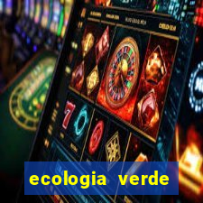 ecologia verde stardew valley