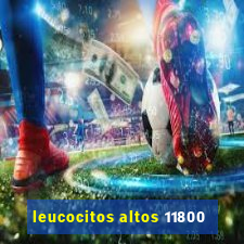 leucocitos altos 11800