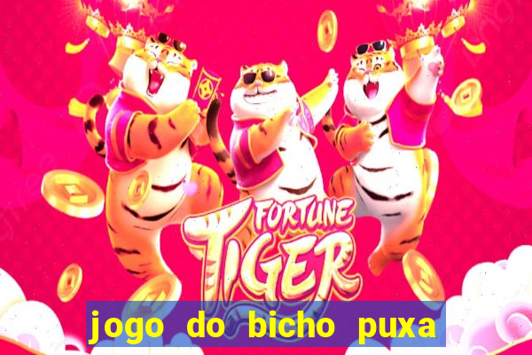 jogo do bicho puxa de dona maria